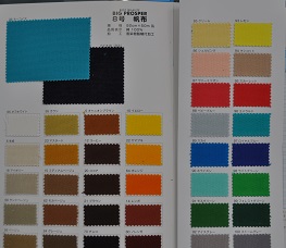 【生地】タメオカ8号帆布～new　color～